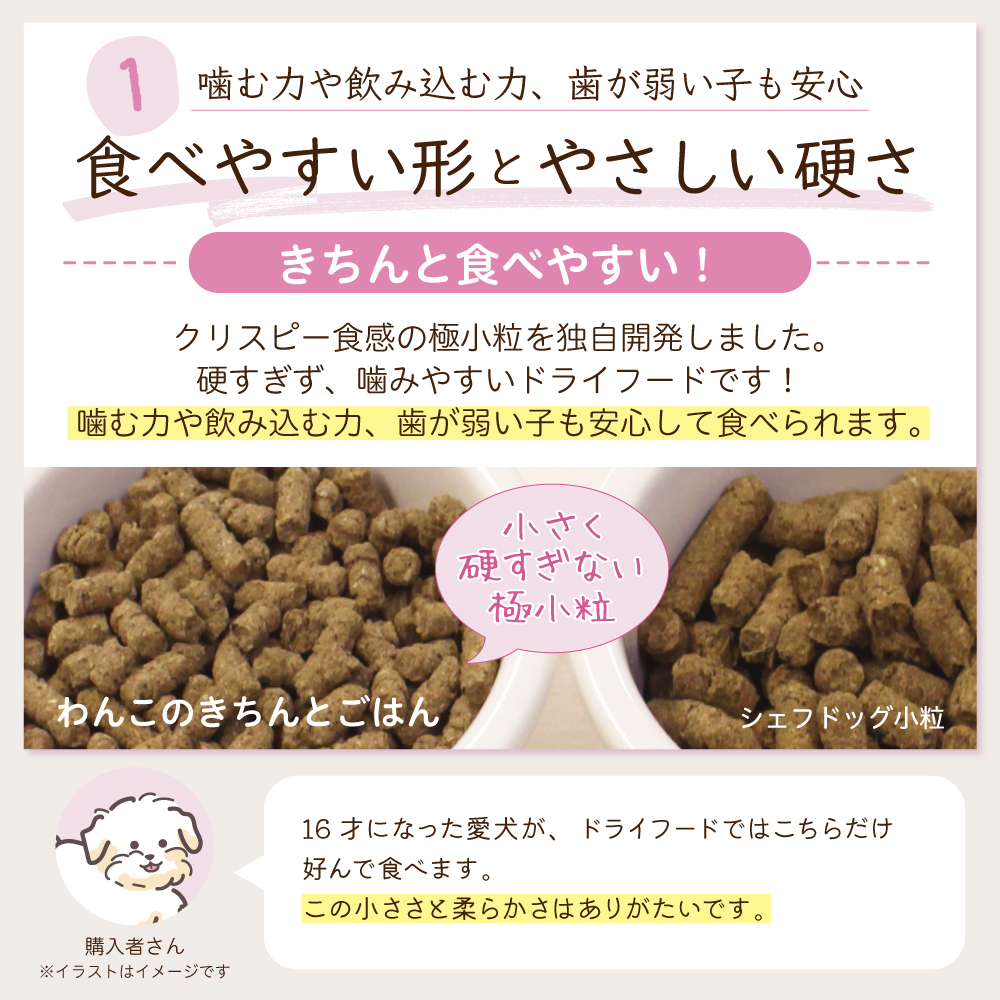 ドッグフード 無添加 シニア アレルギー 国産 犬 餌 魚 グルテンフリー