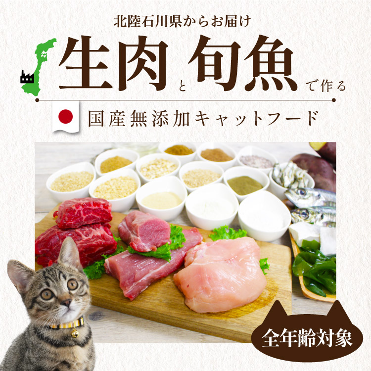 シェフキャット 800g キャットフード ドライフード 猫 子猫 餌 無添加 国産 総合栄養食｜chien-chien｜03