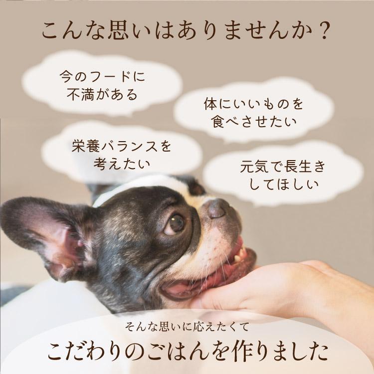 シェフドッグ パピー 2.1kg×3袋 ドッグフード アレルギー 国産 日本産 無添加 グルテンフリー 総合栄養食 子犬用 妊娠 母犬 犬 餌｜chien-chien｜05