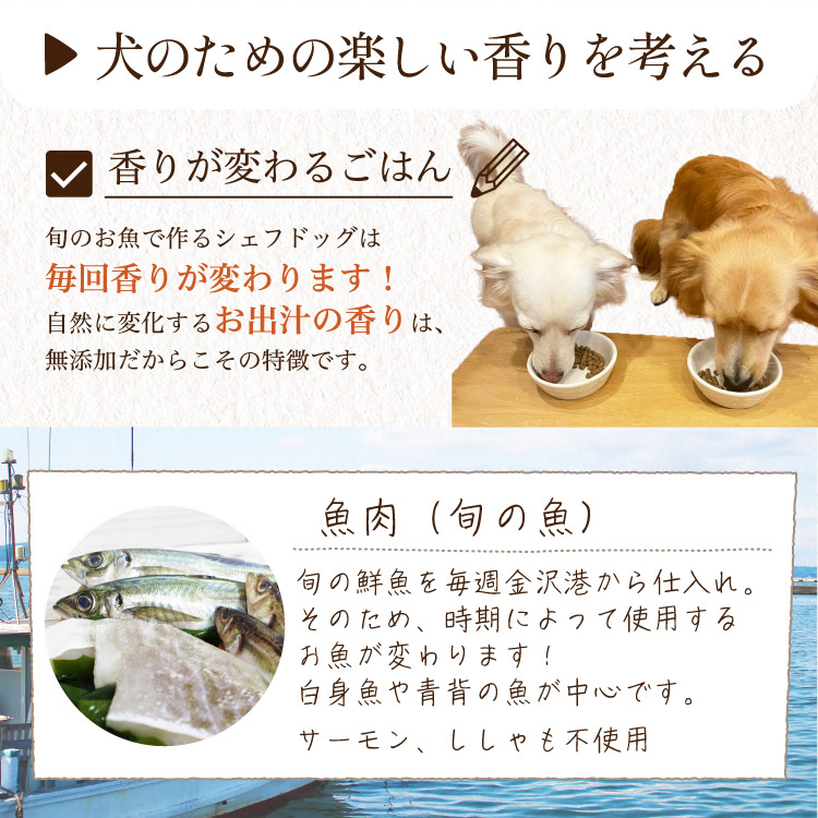 シェフドッグ 魚 フィッシュ 2.1kg×3袋 ドッグフード アレルギー ダイエット 国産 日本産 無添加 グルテンフリー 総合栄養食 パピー 成犬 シニア 犬 餌｜chien-chien｜15