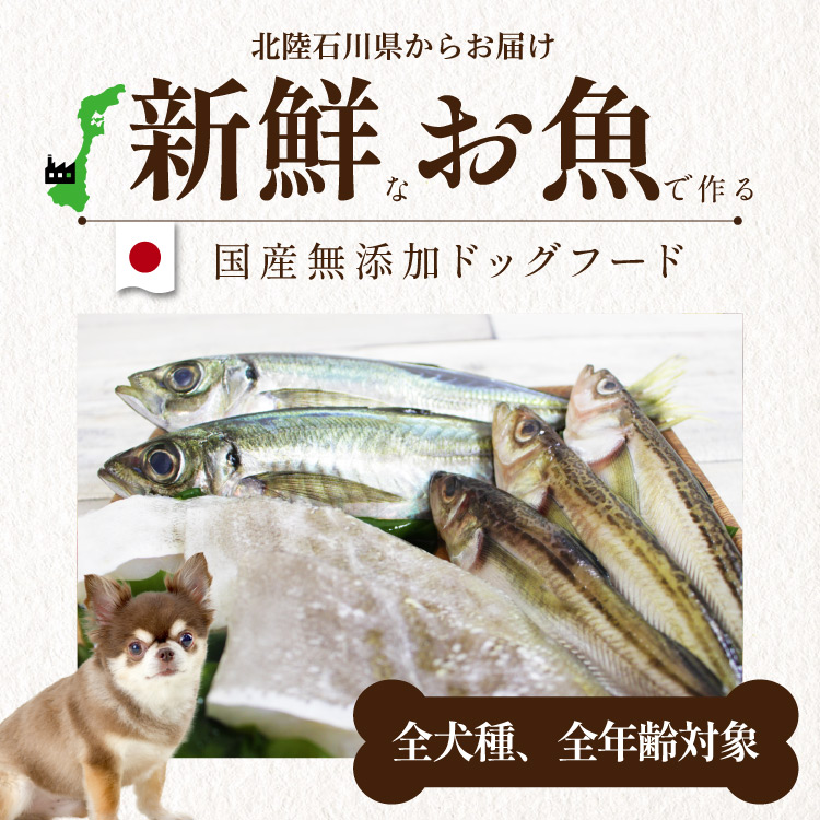 シェフドッグ フィッシュ 2.1kg×2袋セット【合計4．2kg