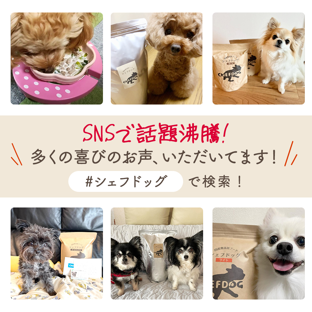 シェフドッグ 犬用2.1kg 3袋 シェフドッグ ビーフ 2.1kg×3袋 ドッグフード アレルギー 国産