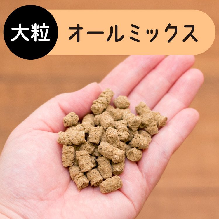 ドッグフード アレルギー 国産 日本産 無添加 グルテンフリー 総合栄養食 パピー 成犬 シニア 犬 餌 シェフドッグ 2.1kg×3袋