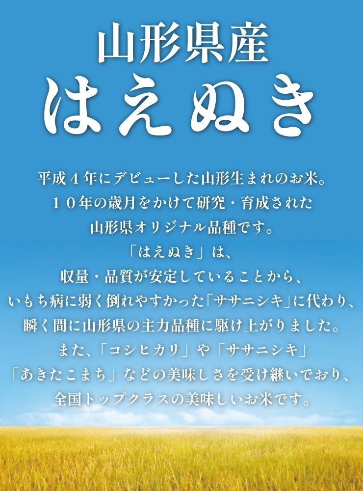 山形自慢のお米「はえぬき」 - もがみのWeb物産館 - 通販 - Yahoo!ショッピング