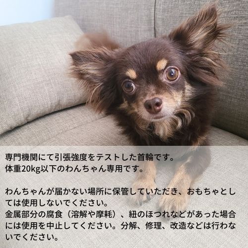 犬用首輪 【 パラコード首輪 / 16．みかん 】 犬 首輪 散歩用 犬の