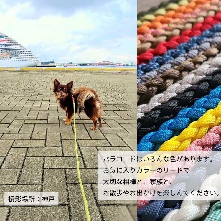 パラコード 犬 カート用 ショートリード no.45 96f3187ba89018732c2abb2211fb7f