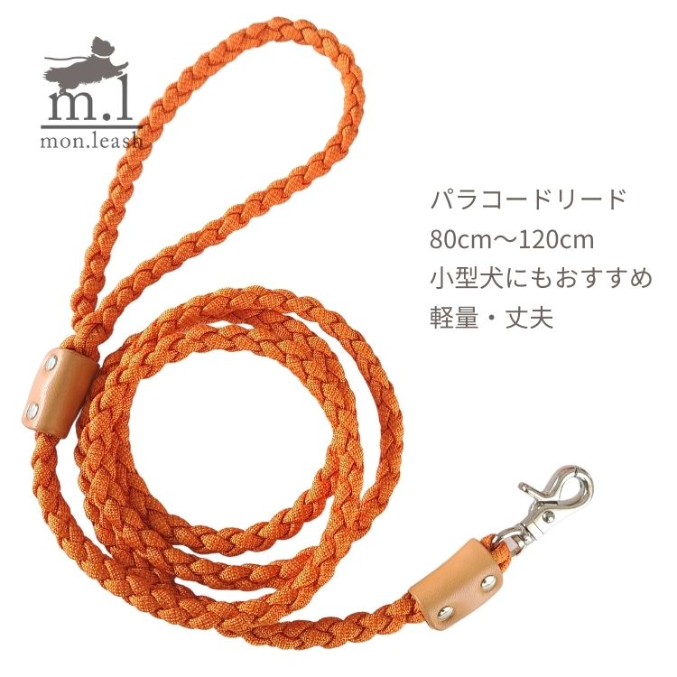dog-leash-1b-mikan-1.jpg