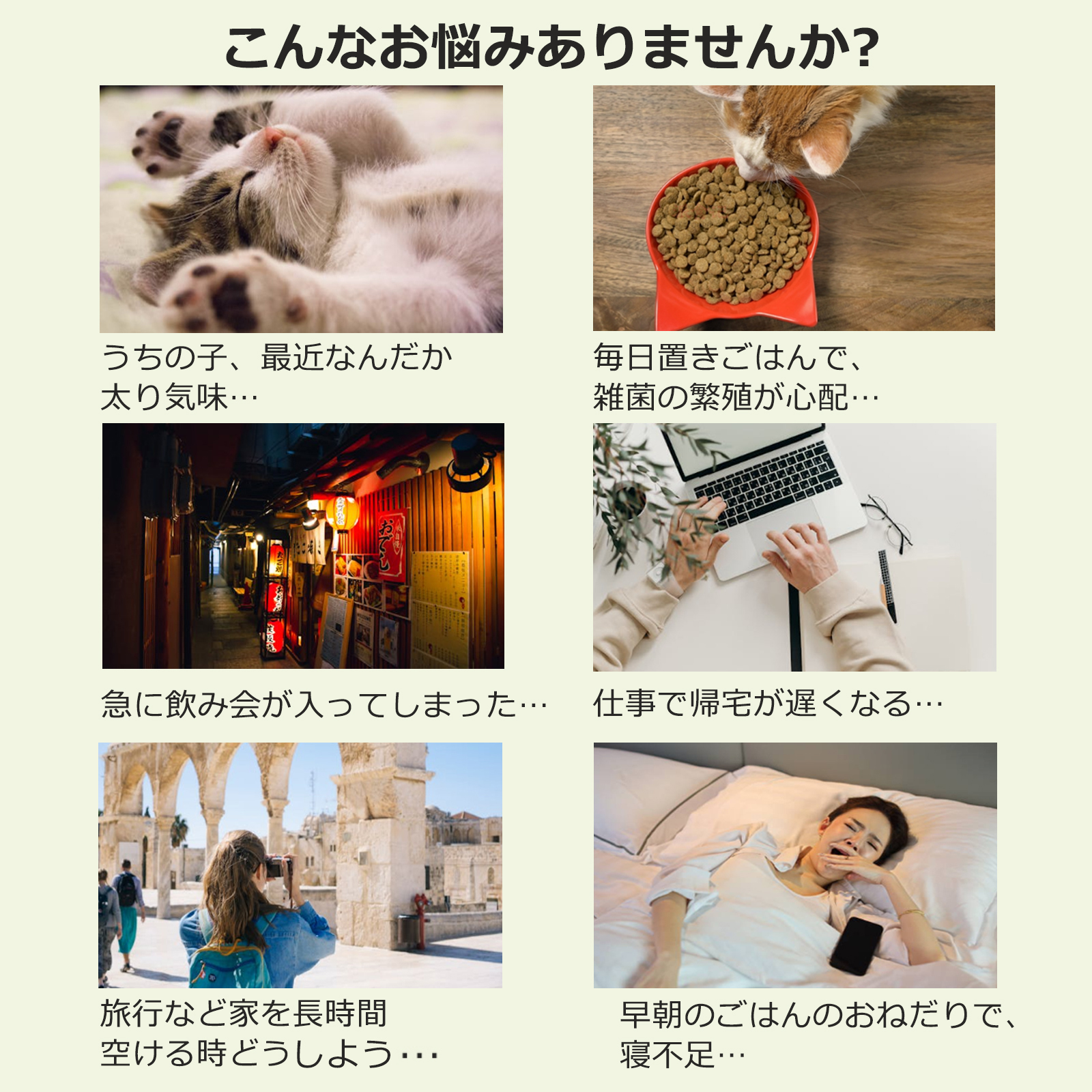 スマート式自動給餌器