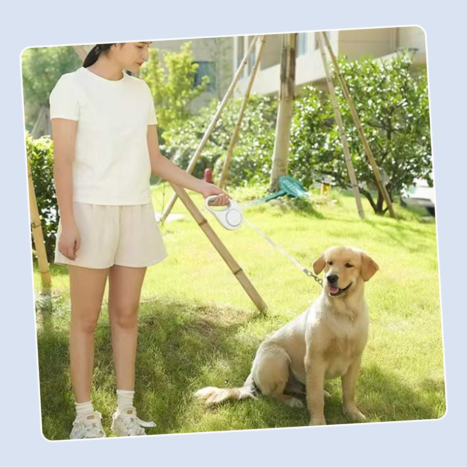 犬用リード