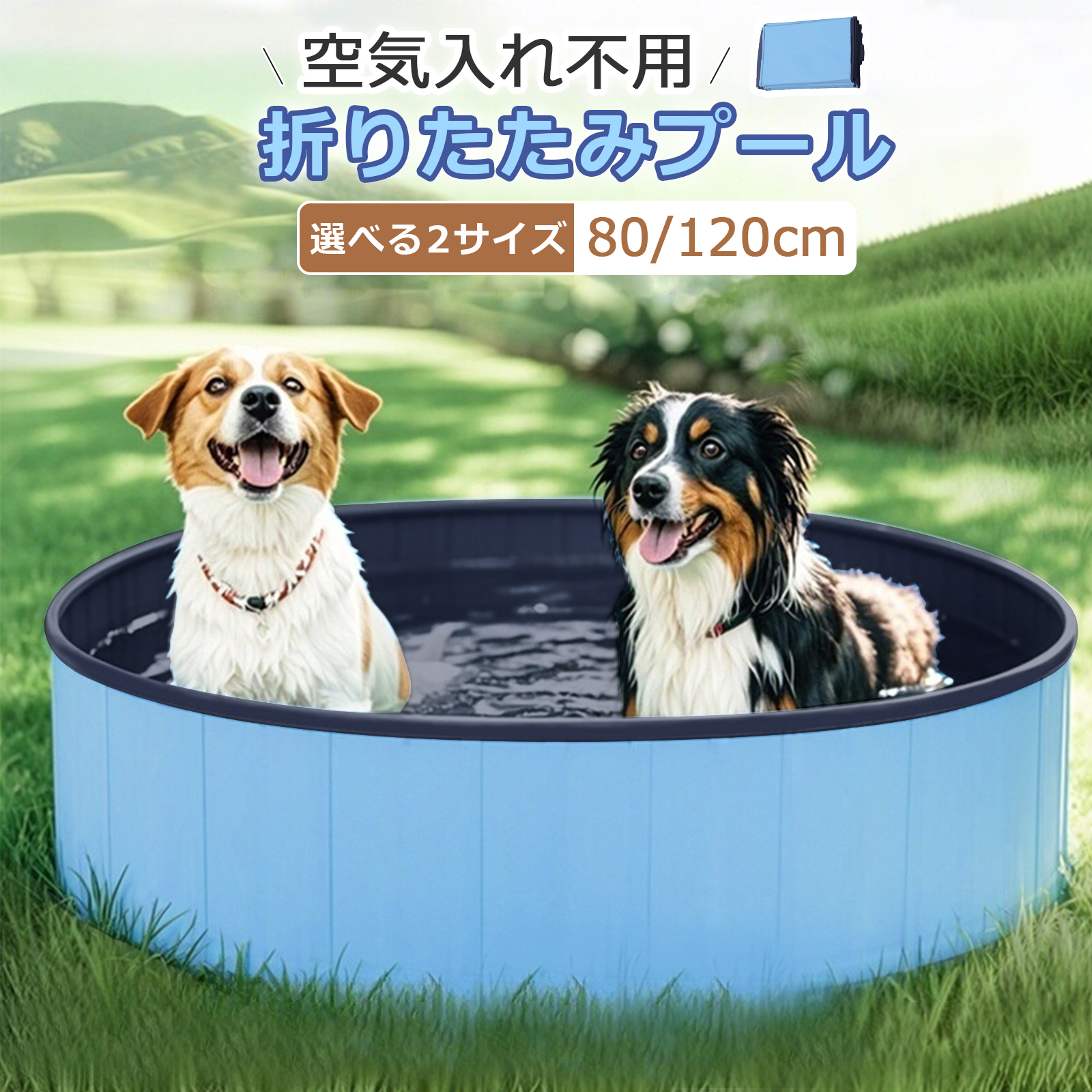 プール