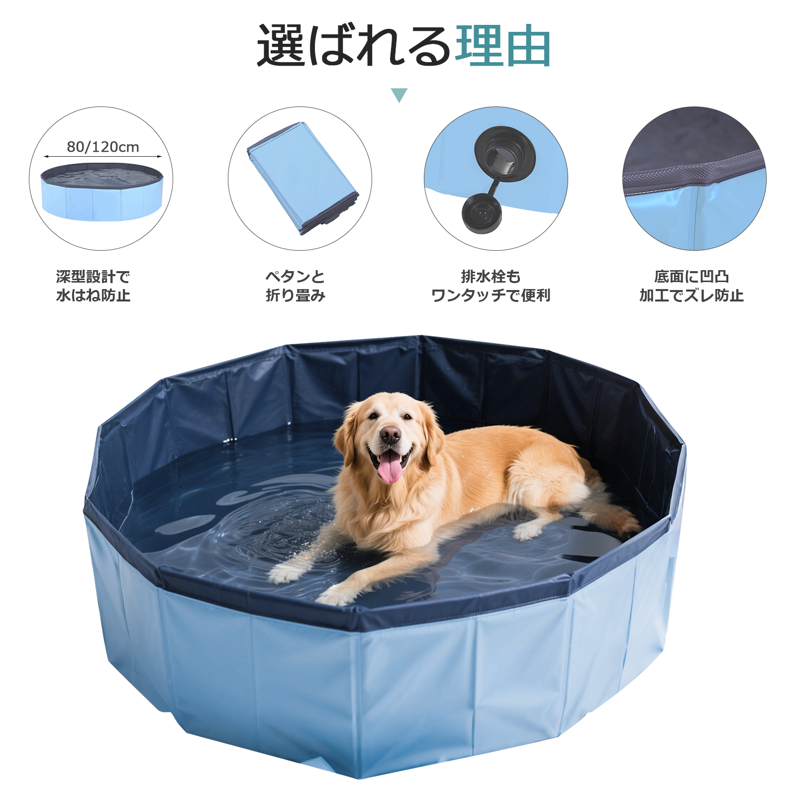 プール
