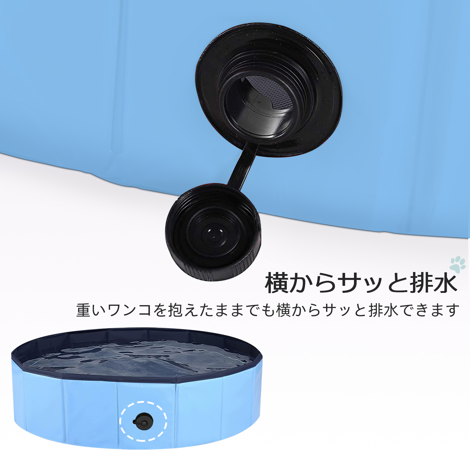 プール