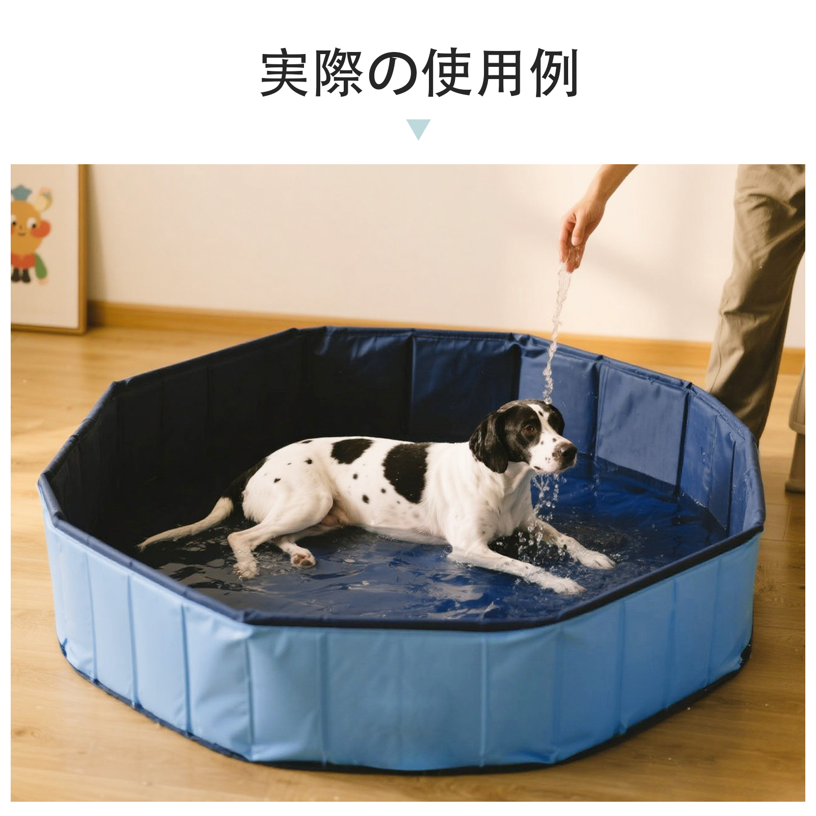プール