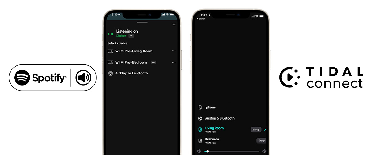 WiiM Pro Plus AirPlay 2 レシーバー Audio WiFi マルチルーム WiiM Pro Plus AirPlay 2 レシーバー Audio WiFi マルチルーム