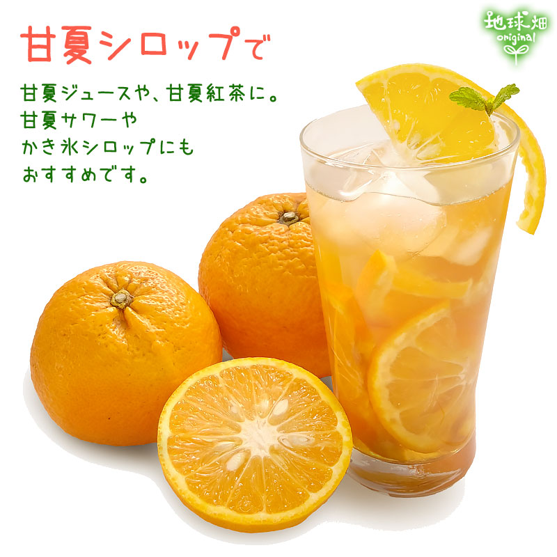 甘夏 7kg 肥料・農薬不使用 熊本県産 自然栽培 自然農法 大きさ