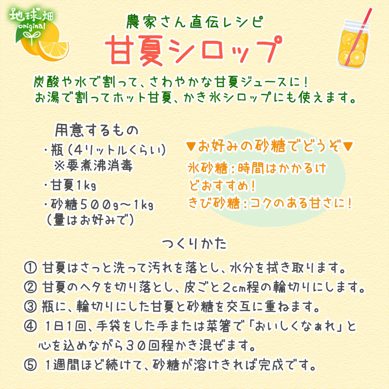 残りわずか 甘夏 20kg 肥料・農薬不使用 熊本県産 自然栽培 自然農法