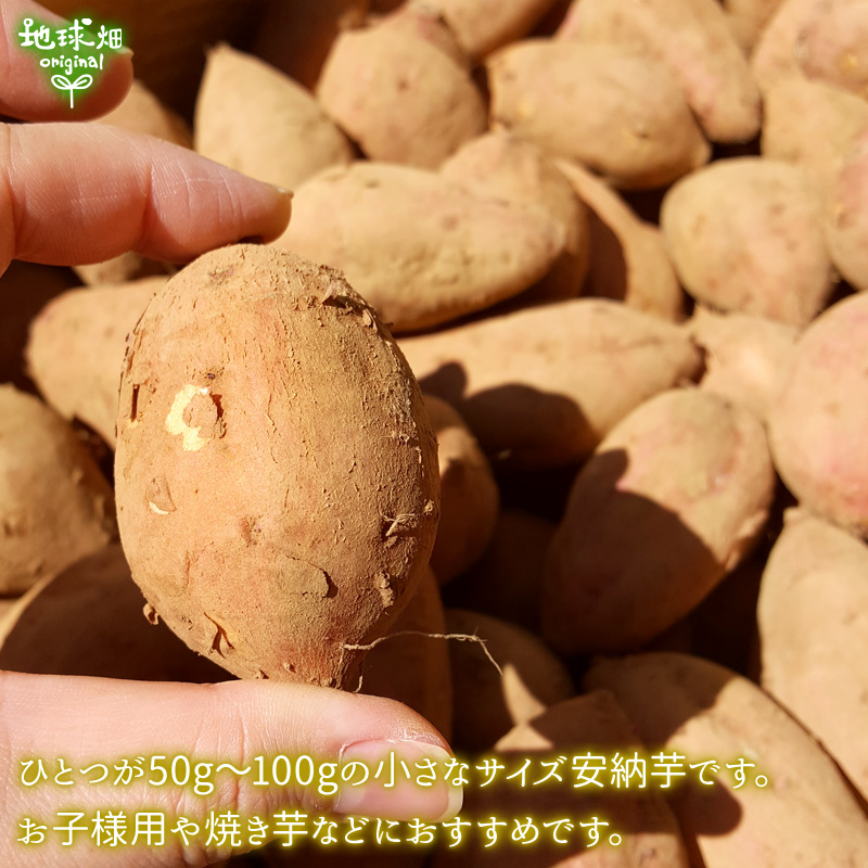 安納芋 有機栽培 Sサイズ 4kg 鹿児島県産 土付き さつまいも 国産 無農薬 100g未満のちびっこサイズ : anno-s-5kg : 地球畑  - 通販 - Yahoo!ショッピング