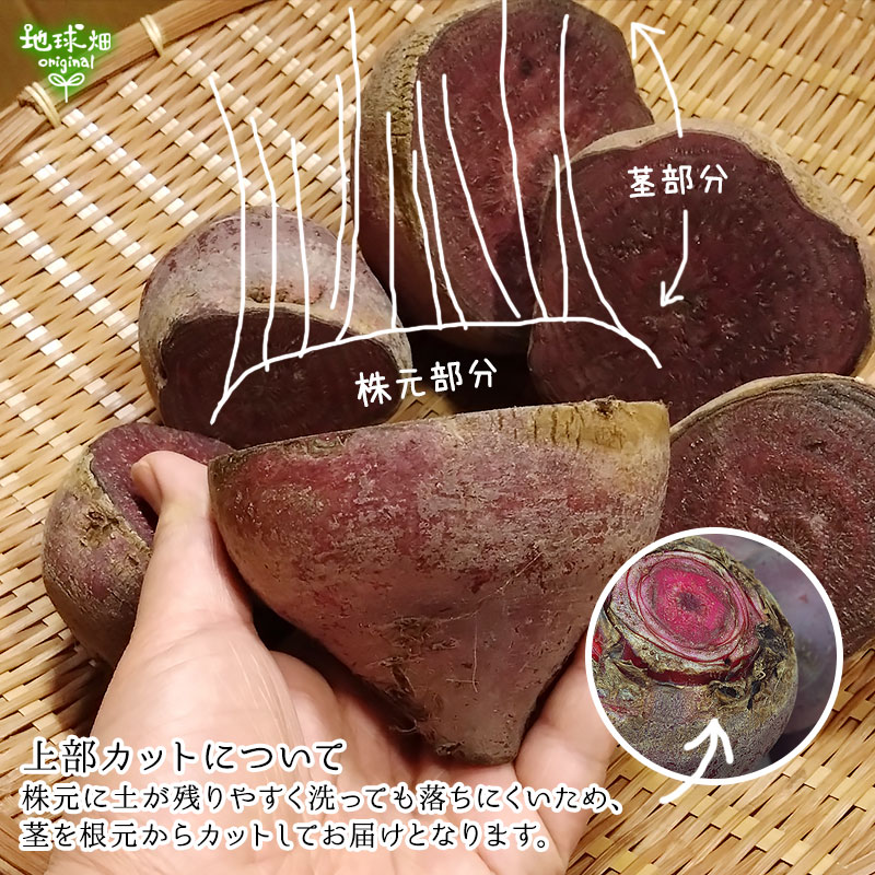 有機ビーツ