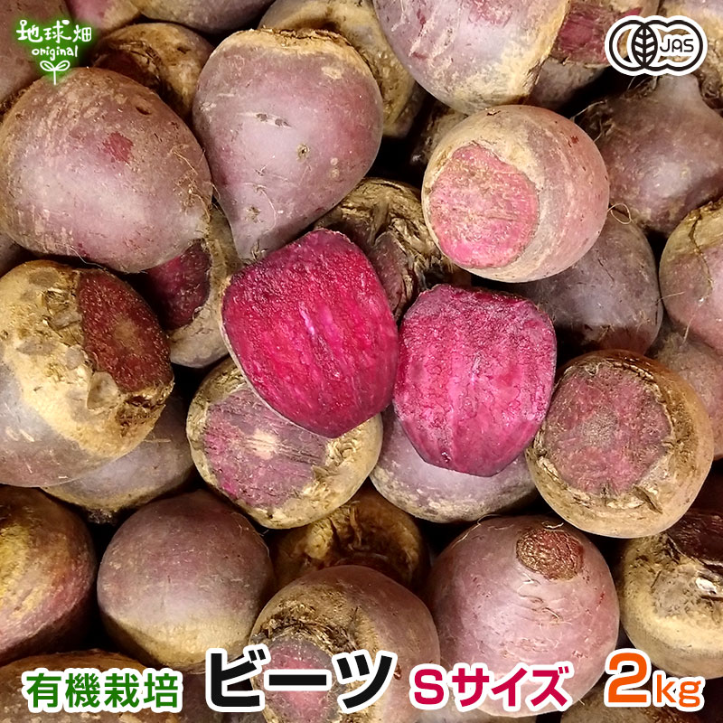 オーガニック ビーツ S 2kg 有機栽培 冷蔵便 鹿児島県産 宮崎県産