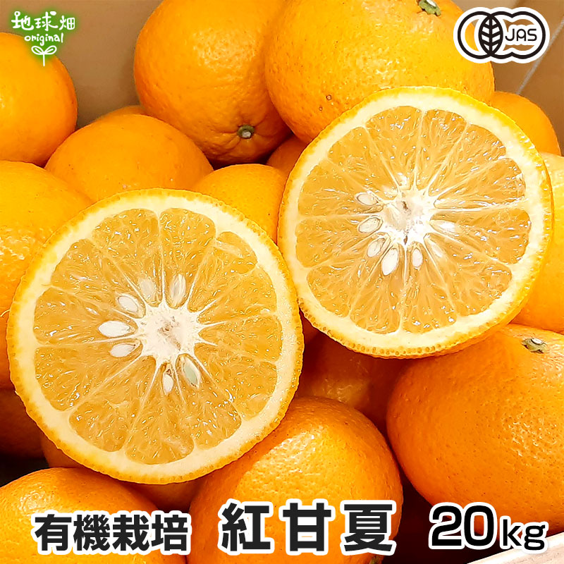 オーガニック 有機紅甘夏 20kg 肥料・農薬不使用 鹿児島県産 大きさ