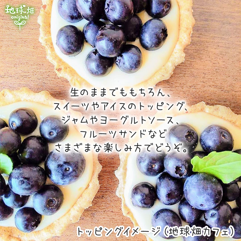ブルーベリー/BlueBerry