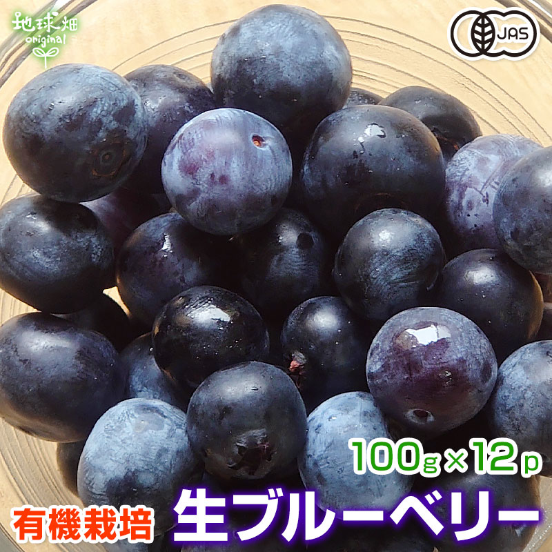 生ブルーベリー 100g×12p 有機栽培 化学肥料・農薬不使用 鹿児島県産 計1.2kg ベリー 有機JAS 無農薬 冷蔵便 fresh  blueberry 発送期間6〜8月