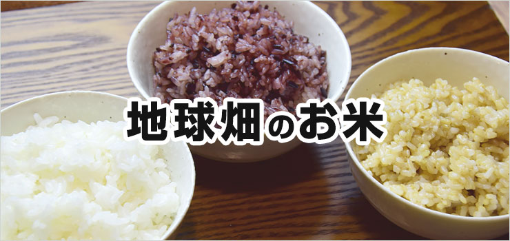お米カテゴリ