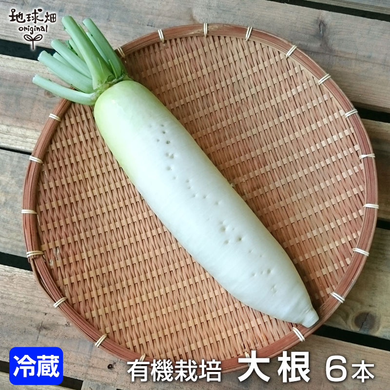 無農薬大根