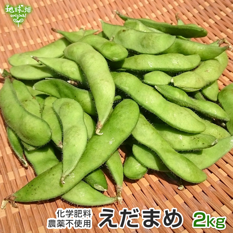 枝豆