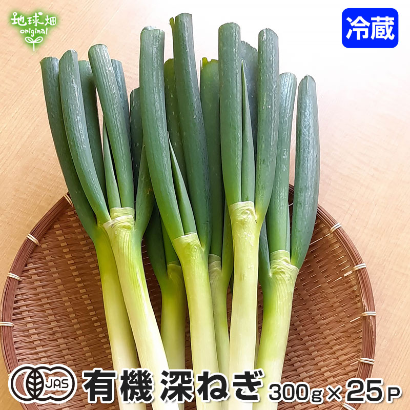 深ねぎ 300g×25P 有機栽培 冷蔵便 有機JAS 鹿児島県産 長ねぎ 長ネギ