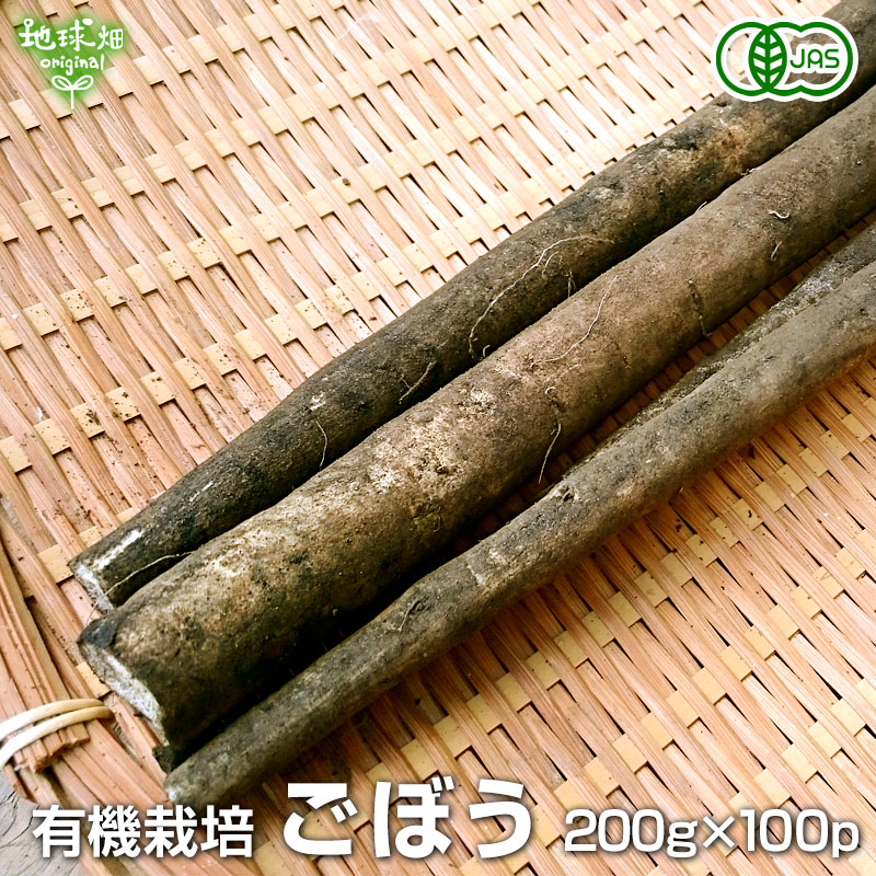 有機栽培ゴボウ