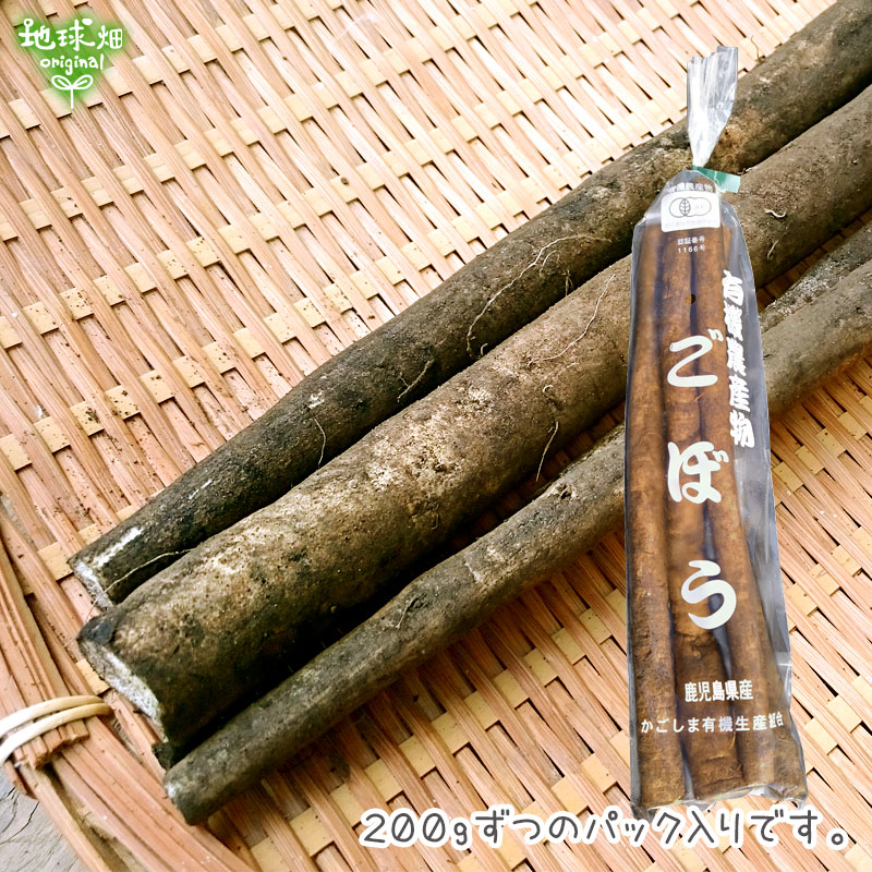 無農薬ごぼう