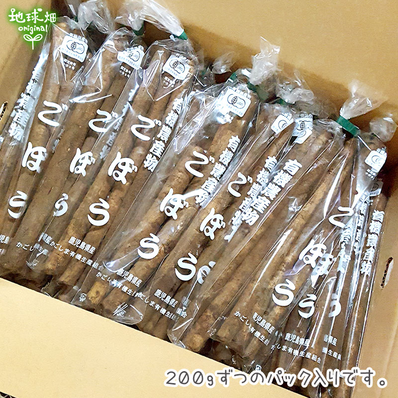無農薬ごぼう