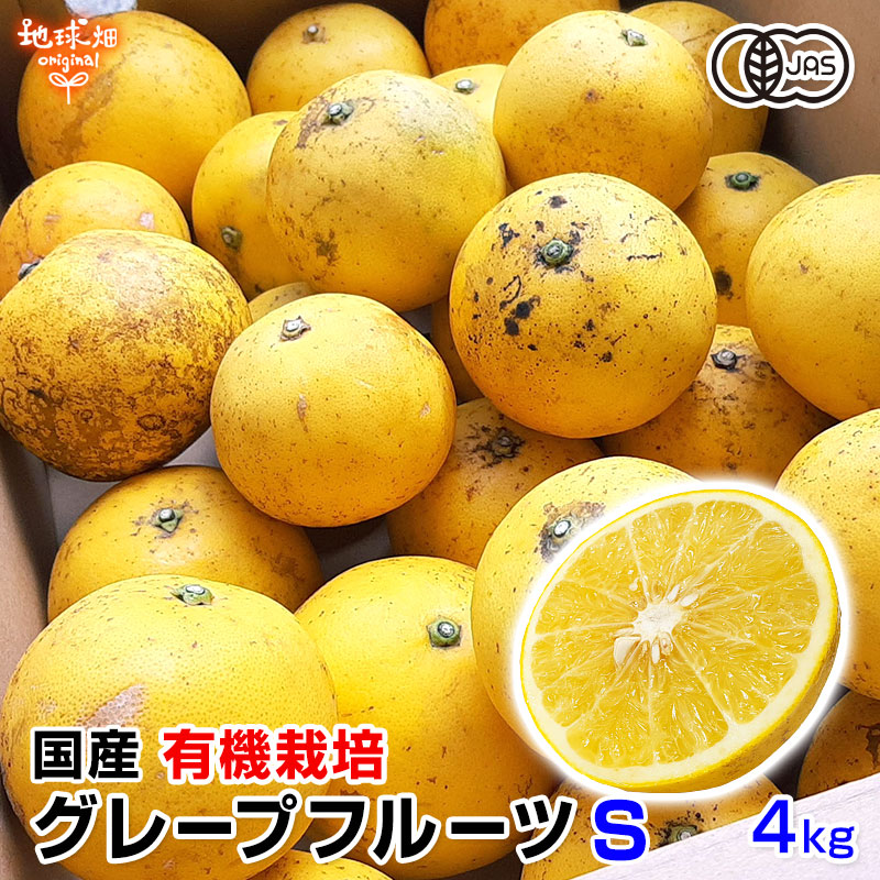 国産グレープフルーツ