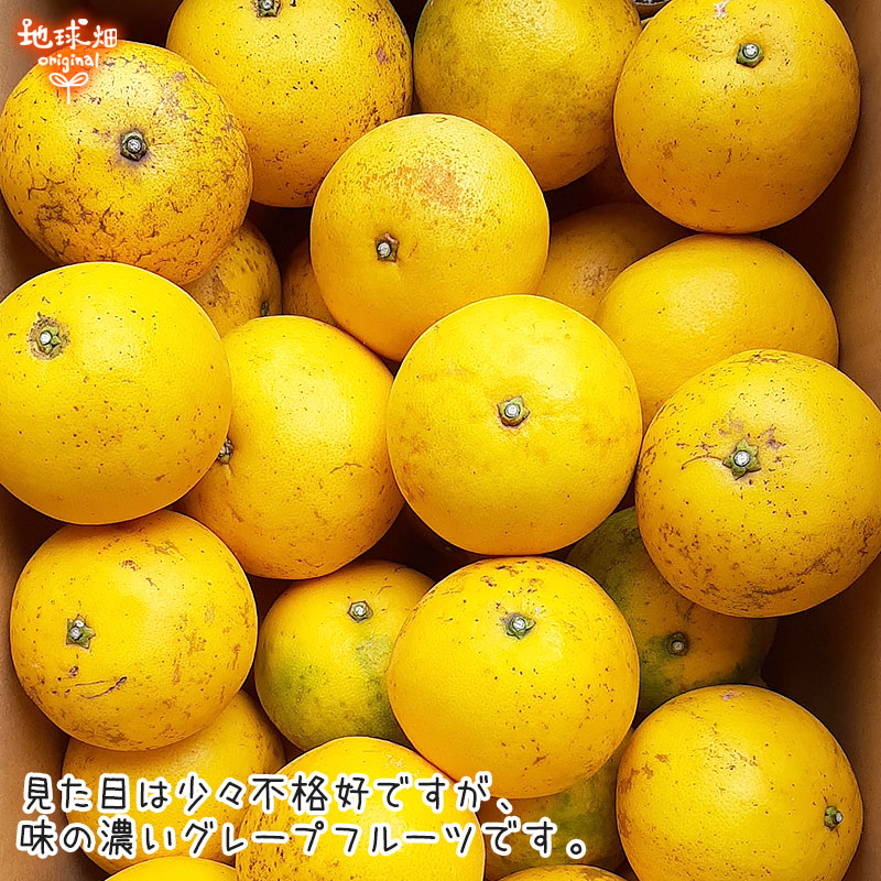 国産グレープフルーツ 4kg 特別栽培 熊本県産 鹿児島県産 化学肥料