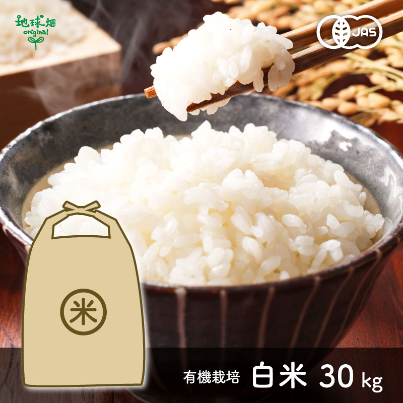 商品画像1枚目