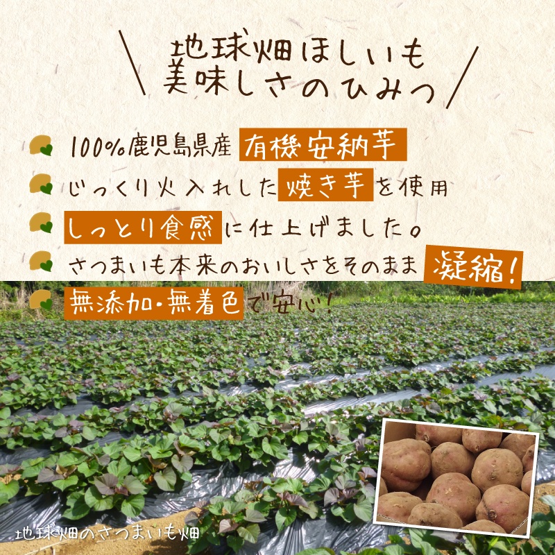 かごしまほしいも