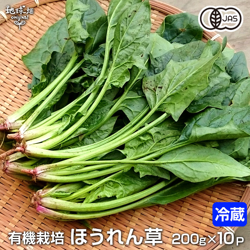 無農薬ほうれん草