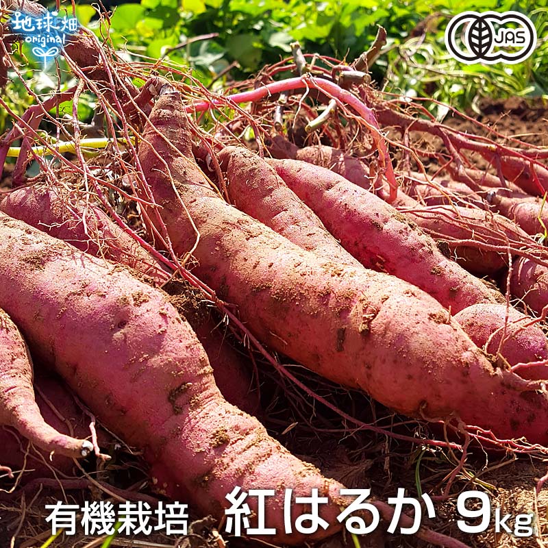 紅はるか 9kg 有機栽培 鹿児島県産 宮崎県産 1本100〜500g 土付 さつまいも 薩摩芋 サツマイモ べにはるか 国産 無農薬 オーガニック  2024年産