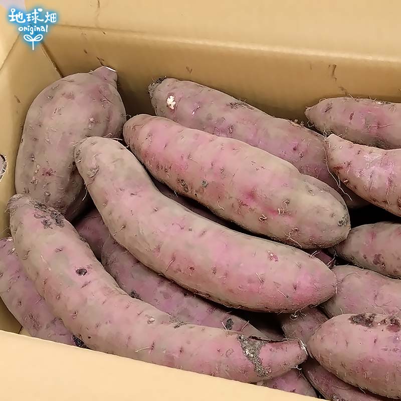 紅はるかの画像