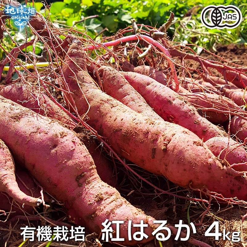 紅はるか 4kg 有機栽培 鹿児島県産 宮崎県産 土付き さつまいも 薩摩芋 サツマイモ からいも べにはるか 国産 無農薬 オーガニック 令和5年度産