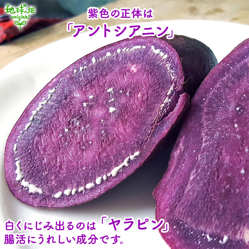 オーガニック 紫芋 2kg 有機栽培 さつまいも 生 鹿児島県産 宮崎県産 1