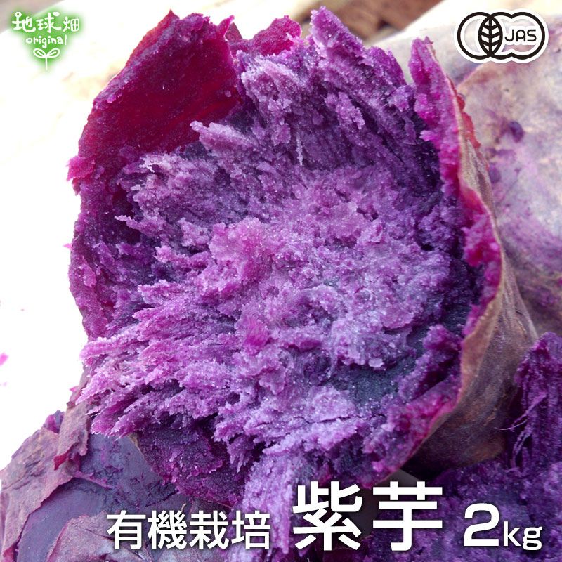 紫芋 2kg 有機栽培 鹿児島県産 宮崎県産 1本100〜500g 土付き 紫いも