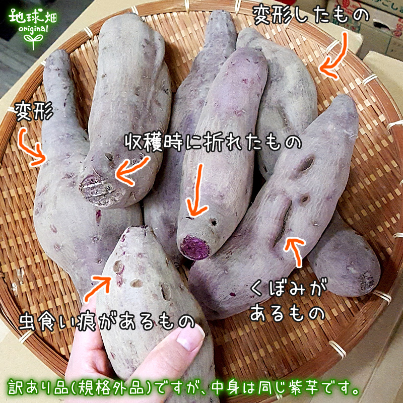 訳あり）紫芋 4kg 有機栽培 鹿児島県産 宮崎県産 訳アリ B品 土付き 紫いも パープルスイートロード ナカムラサキ むらさきいも さつまいも  無農薬 :imo-murasaki-5-wake:地球畑 - 通販 - Yahoo!ショッピング