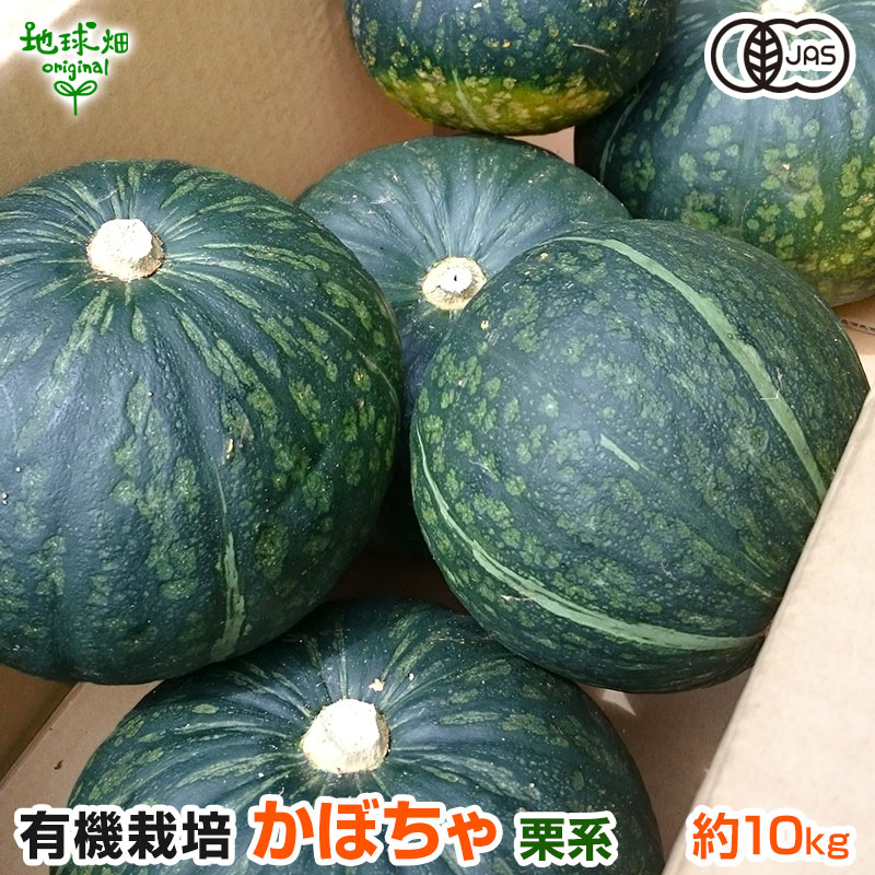 無農薬かぼちゃ