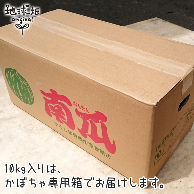 有機栽培かぼちゃ