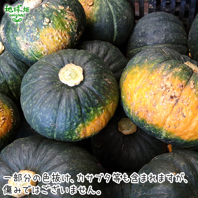 無農薬かぼちゃ