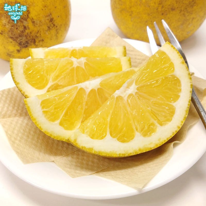 訳あり河内晩柑