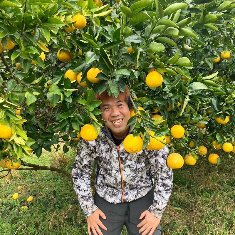 河内晩柑
