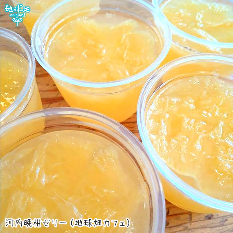 河内晩柑